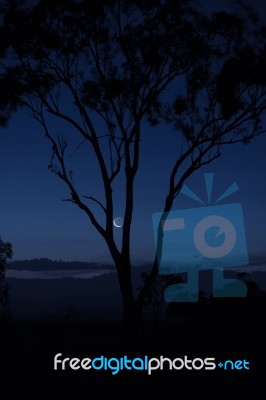 Trees In The Countryside In Queensland Stock Photo