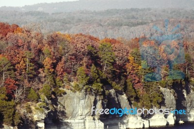 Trees On The Mountain Stock Photo