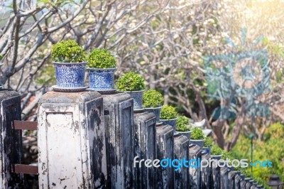 Trees Pot On Side Way Walk Of Phra Nakhon Khiri Historical Park Stock Photo