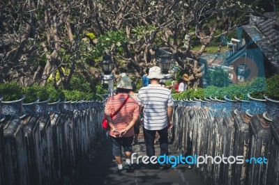 Trees Pot On Side Way Walk Of Phra Nakhon Khiri Historical Park Stock Photo