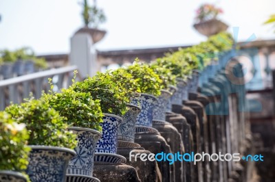 Trees Pot On Side Way Walk Of Phra Nakhon Khiri Historical Park Stock Photo