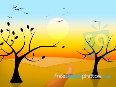 Trees Sun Indicates Birds In Flight And Branch Stock Image