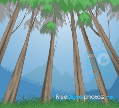 Trees Tropical Scene Stock Image