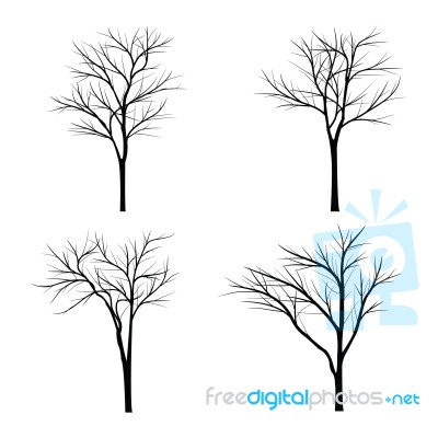 Trees With Dead Branch Stock Image