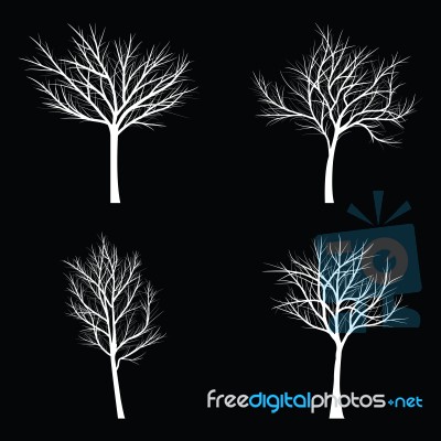 Trees With Dead Branch Stock Image