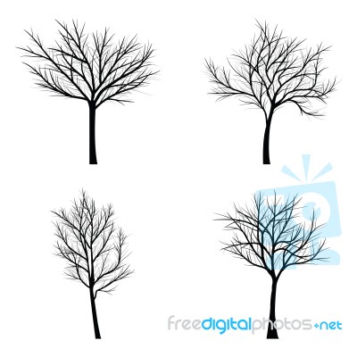 Trees With Dead Branch Stock Image