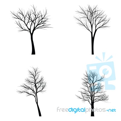 Trees With Dead Branch Stock Image