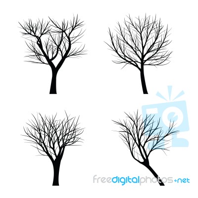 Trees With Dead Branch Stock Image