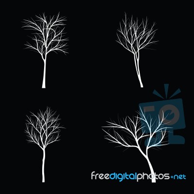 Trees With Dead Branch Stock Image