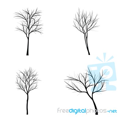 Trees With Dead Branch Stock Image