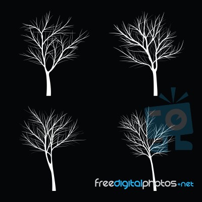 Trees With Dead Branch Stock Image