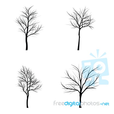 Trees With Dead Branch Stock Image