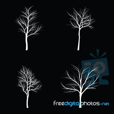 Trees With Dead Branch Stock Image