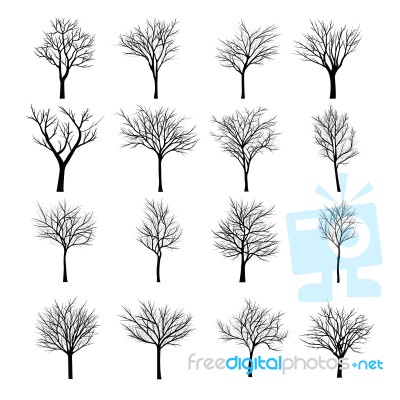 Trees With Dead Branch Stock Image