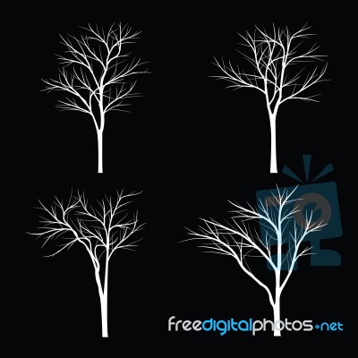 Trees With Dead Branch Stock Image