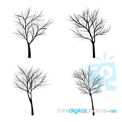 Trees With Dead Branch Stock Image