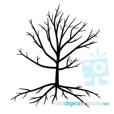 Trees With Dead Branch Stock Image