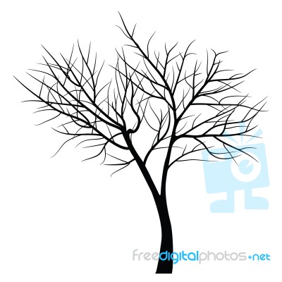 Trees With Dead Branch Stock Image