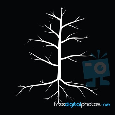 Trees With Dead Branch Stock Image