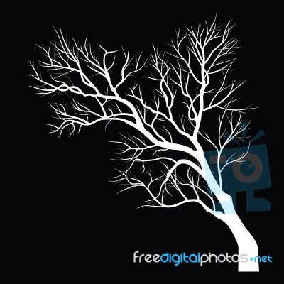 Trees With Dead Branch Stock Image