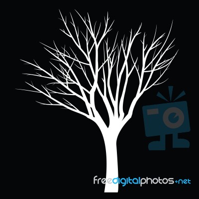 Trees With Dead Branch Stock Image