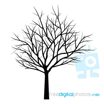 Trees With Dead Branch Stock Image