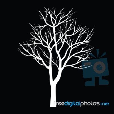 Trees With Dead Branch Stock Image