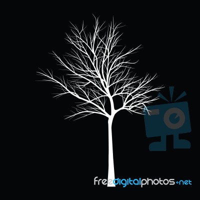 Trees With Dead Branch Stock Image