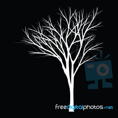 Trees With Dead Branch Stock Image