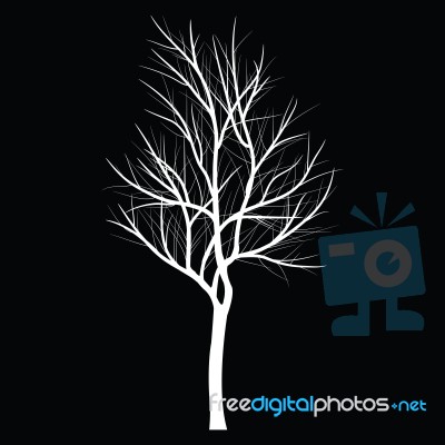 Trees With Dead Branch Stock Image