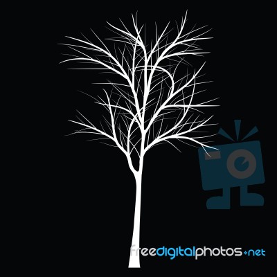 Trees With Dead Branch Stock Image