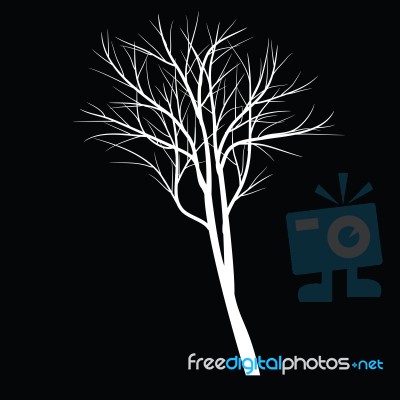 Trees With Dead Branch Stock Image