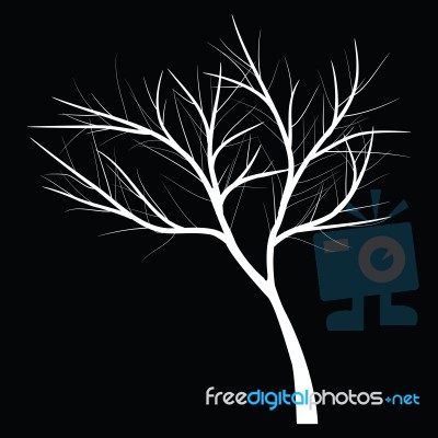 Trees With Dead Branch Stock Image