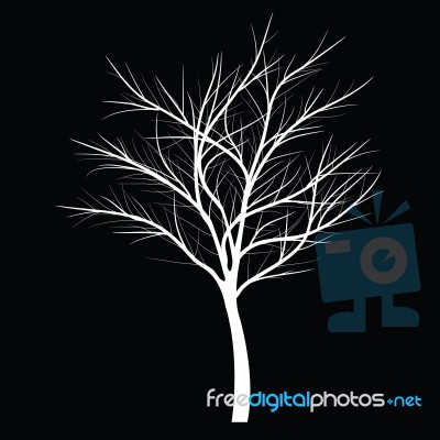 Trees With Dead Branch Stock Image