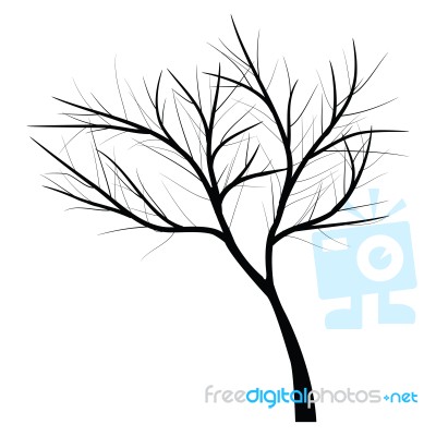 Trees With Dead Branch Stock Image