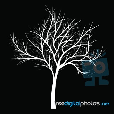 Trees With Dead Branch Stock Image