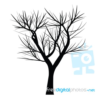 Trees With Dead Branch Stock Image