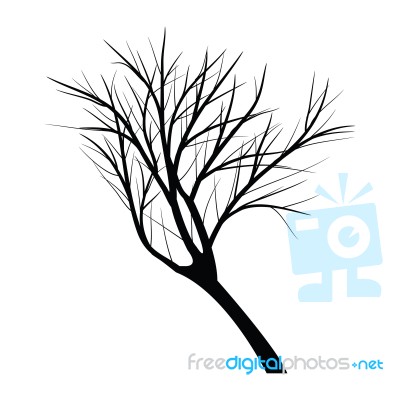 Trees With Dead Branch Stock Image