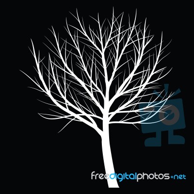 Trees With Dead Branch Stock Image