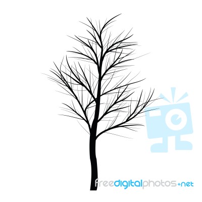 Trees With Dead Branch Stock Image