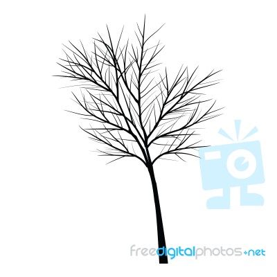 Trees With Dead Branch Stock Image