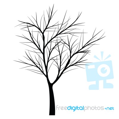 Trees With Dead Branch Stock Image