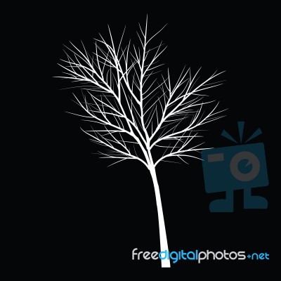 Trees With Dead Branch Stock Image