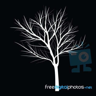 Trees With Dead Branch Stock Image