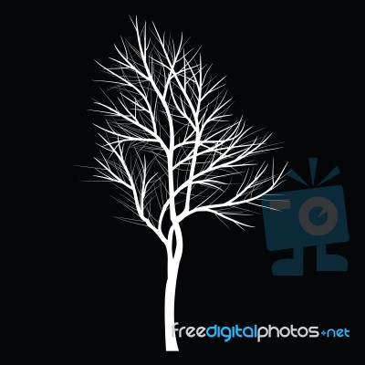 Trees With Dead Branch Stock Image