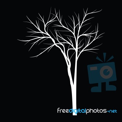 Trees With Dead Branch Stock Image