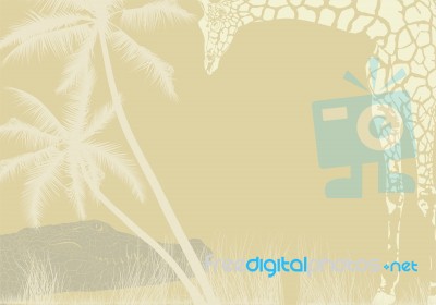 Tropical Animal Background Stock Image