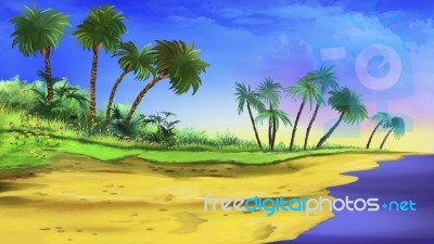 Tropical Beach Stock Image