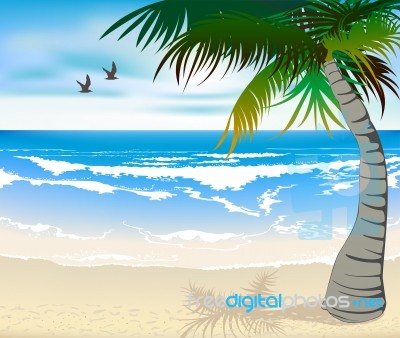 Tropical Beach Stock Image