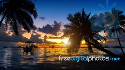 Tropical Beach On Sunset With Silhouette Palm Trees Stock Photo